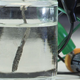 Illustration for article titled Scientists Pulled Hydrogen From Water Using an AAA Battery